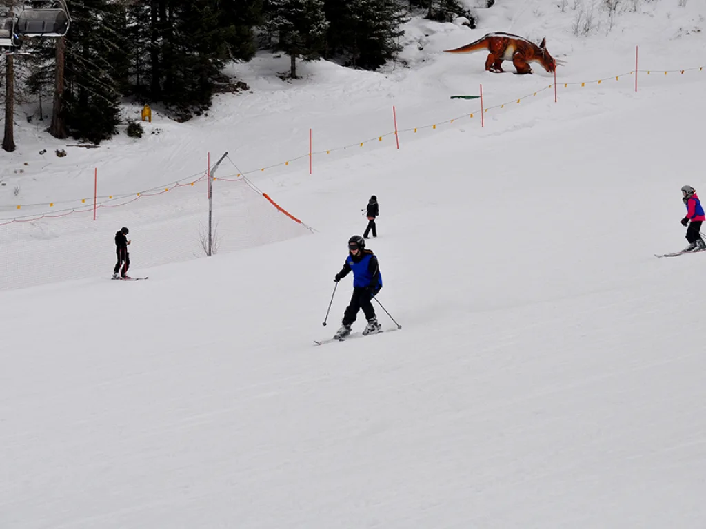 Zwei Personen fahren auf einer Piste zwischen Absperrstangen.